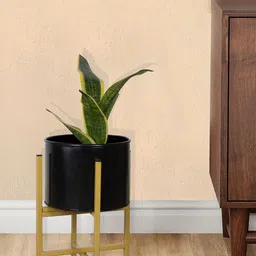 Homesake Black & Gold-Toned Metal Planter Pot with Stand-picture-40