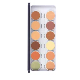 C2P PROFESSIONAL MAKEUP Dermashield Must Have 12 in 1 Color Corrector and Foundation - 42g-picture-25