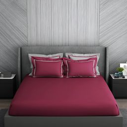 SPACES Hygro Violet Cotton 350 TC King Bedsheet With 4 Pillow Covers-picture-32