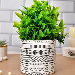 TAYHAA Black Printed Ceramic Planter-picture-26