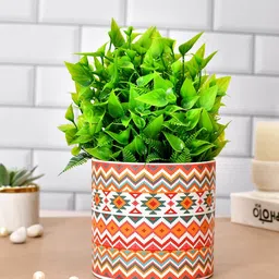 TAYHAA White & Green Ethnic Printed Ceramic Planter-picture-28