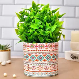 TAYHAA White & Red Printed Ceramic Garden Delight Planter-picture-27