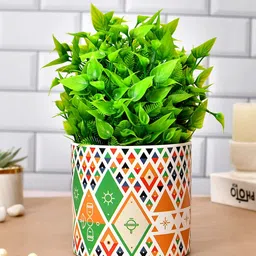 TAYHAA White Printed Ceramic Planter-picture-23