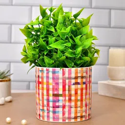 TAYHAA White & Red Ceramic Delight Small Planter-picture-25