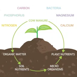 ugaoo Cow Manure - 10 KG image 4