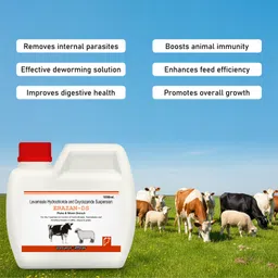 marc Erazan DS 1000 ml Syrup for Animals | Oral Solution for Livestock & Poultry Vet Pet Health Supplements image 2