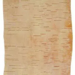 dr. shrimali & astro science saraswati kawach for intelligence and memory Nickel Locket image 2