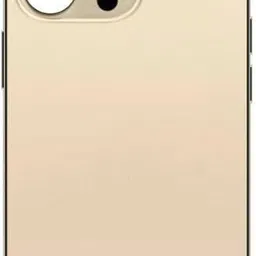 starware iPhone 13 Pro Max Gold iPhone 13 Pro Max Gold Back Panel-picture-20