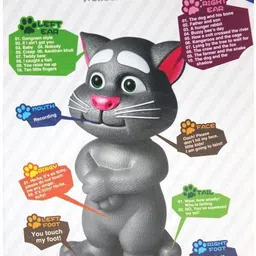 a r enterprises Talking Cat Toy(multicolour) image 4