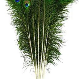 rameshwars Pack of 21 Decorative Feathers image 2