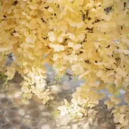 ajaa Beige Westeria Artificial Flower-picture-11