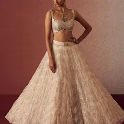 Geethika kanumilli Embroidered Beads & Stones Ready to Wear Lehenga & Blouse With Dupatta image 3