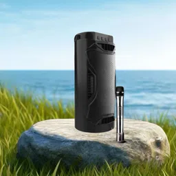 FRONY Bluetooth Party Speaker Long Battery Life With Crydtal Sound & Deep Bass E345 30 W Bluetooth Laptop/Desktop Speaker-picture-24