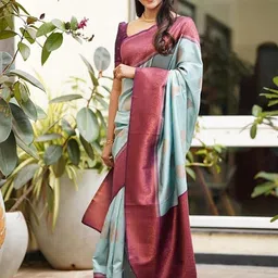 BerMondsey Ethnic Motifs Zari Banarasi Saree-picture-37