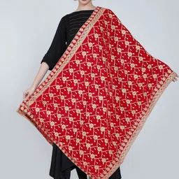 Moda Chales Embroidered Velvet Dupatta-picture-32