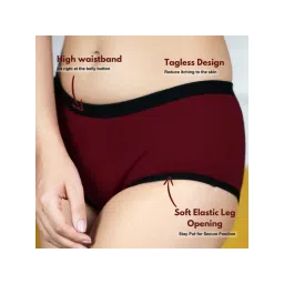 CareDone CD8 Maroon Reusable & Washable Period Panty Leakproof Underwear image 5