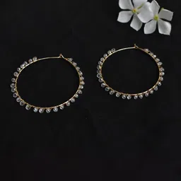 BeAbhika Gold-Toned Contemporary Hoop Earrings-picture-27