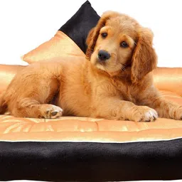 heaven luxurious Premium Quality Ultra Soft Velvet Sofa Dog Bed & Cat Bed| Puppies Puppy Pet Bed M Pet Bed-picture-17