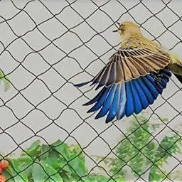 aj style Bird Net with Attached Corner Ropes & Installation Kit/Size- (10x06ft), White Insect Net image 2