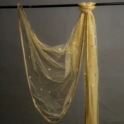 shaktirudra goods Net Embellished Beige Women Dupatta-picture-16