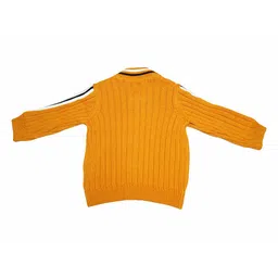 LASNAK Girls Mustard & White Striped V-Neck Sweater image 4