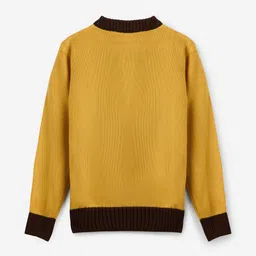 The Souled Store Boys Embroidered Pullover image 3