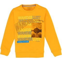 Status Quo Boys Printed Round Neck Pure Cotton Sweatshirt-picture-31