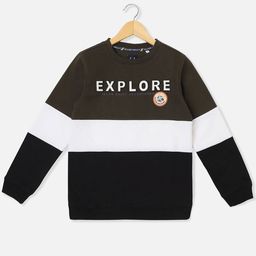 Allen Solly Junior Boys Colourblocked Sweatshirt-picture-18