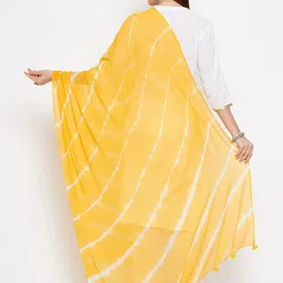 Clora Creation Women Yellow & Off White Striped Dupatta image 4