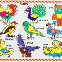 dgcrayons Pine Wood Birds Tray with Picture & Knobs Learning & Educational Board for Kids image 1