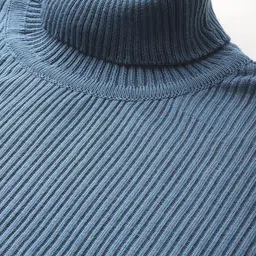 roadster Men Striped Turtle Neck Blue Sweater image 3