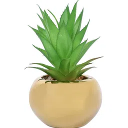 fourwalls Polyurethane Lucy Green Succculent In Ceramic Pot Artificial Plant image 4