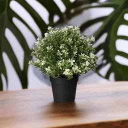 jktraders Bonsai Artificial Plant with Pot-picture-11