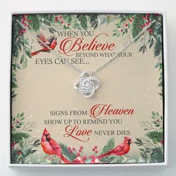 rakva Cardinal Memories Necklace When You Believe Beyond What Your Eyes Rhodium Zircon Sterling Silver Pendant Set-picture-20