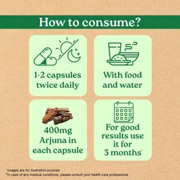 berbudic Arjun ki chhal, Arjun bark, Arjun chal Seed image 2