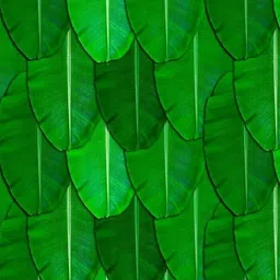 dm fashion Backdrop Decoration (5ft X 8ft) cloth-picture-10