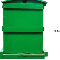 teak bee 1 Bird House image 3