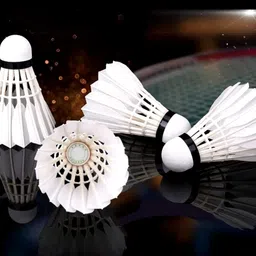 sai mart Feather Shuttlecock Pack of 10 | Feather Shuttle - White image 3