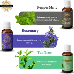 exotic aromas Essential Oil Pack of12 Lavender Rose Rosemary Orange Jasmine TeaTree Eucalyptus image 3