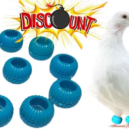 daivin Pigeons Plastic Foot Rings Pack Of 10 Bird Shoulder Guard-picture-19