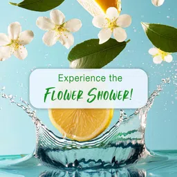 secret temptation Magic Long Lasting Body Mist| Dermatologically Tested & Safe on Skin|135 ML Each Body Mist - For Women image 5