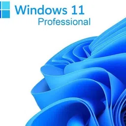 MICROSOFT Windows 11 Professional_AB06 1 User / 1 PC Lifetime Validity Retail License 32 /64 Bit (Flash Drive) image 5