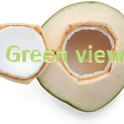 green view Coconut Plant image 4