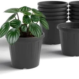 8 INCH Planter Pack of 12 Nursery pots Set Plastic Planter Plant Container Set-image-14