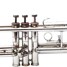 nasir ali NAC1T Bb Trumpet-picture-23