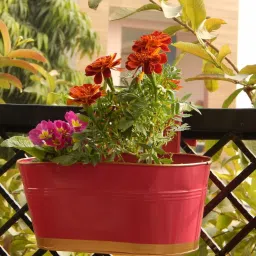 ecofynd 12 Inches Oval Rectangular Set of 3 Pink Metal Planter image 1