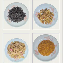 seedaria 4 Types of Vegetables, summer vegetables, bottle gourd, ridge gourd, bitter gourd, brinjal Seed image 2