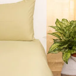 Oyvu Lime Green Self Design Tencel 400TC King Bedsheet with 2 Pillow Covers 108 x 108 Inch image 3