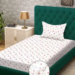 KLOTTHE Cream-Coloured Floral Printed 300TC Fitted Single Bedsheet Set 2.25m x 1.50 m-image-67