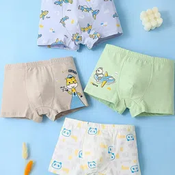 Teri Beri Set Of 5 Low-Rise Cotton Hipster Briefs image 5